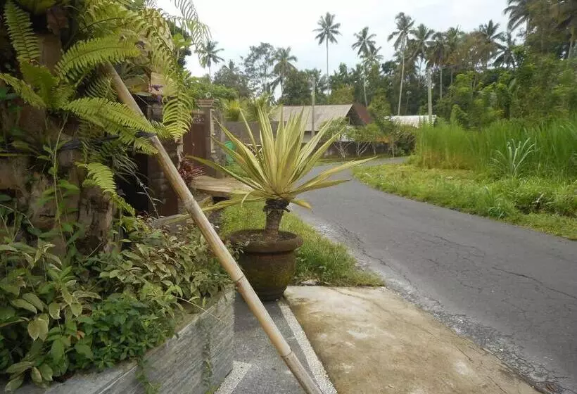 ペンション Suci Amerta Guest House