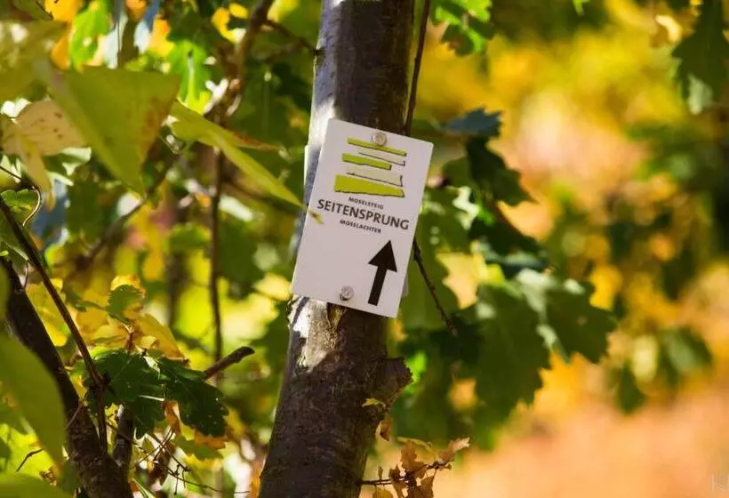 Majatalo Wein  Und Gästehaus Lentes