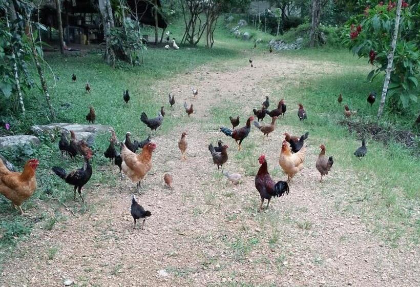 Hostería San Luis Mindo