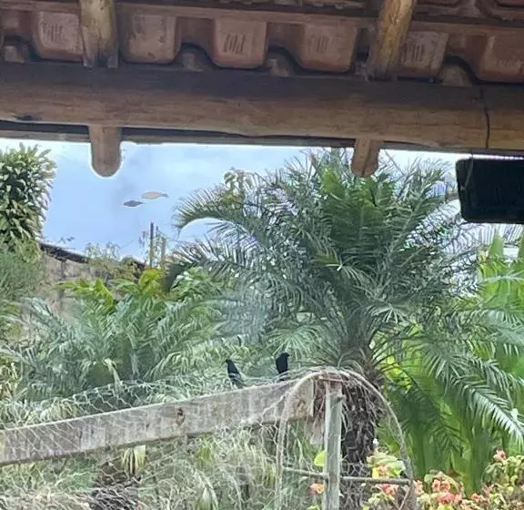 ホテル Boa Vista