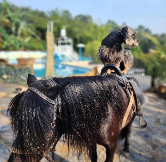 酒店 Finca Campestre Villa Sarita