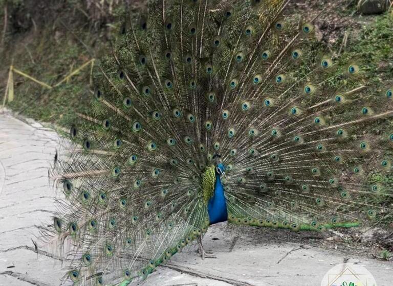 酒店 Finca Campestre Villa Sarita