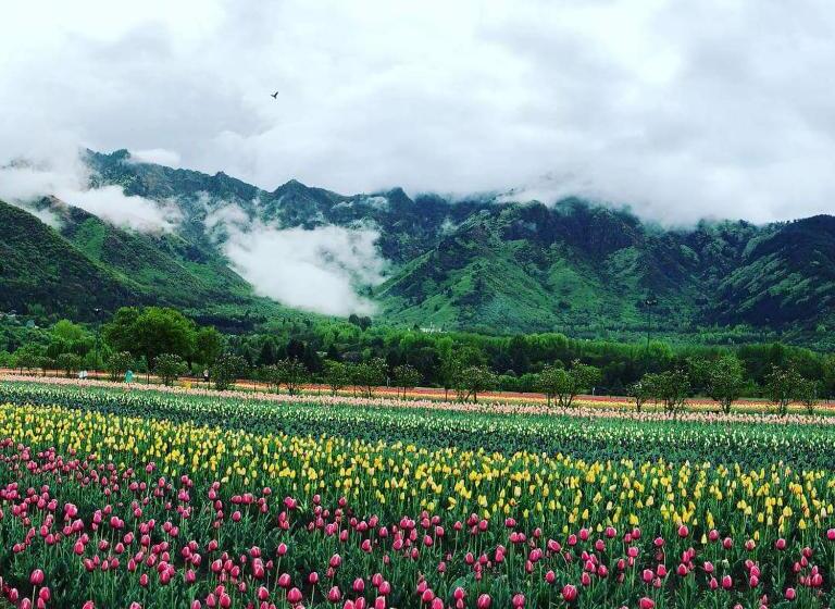 Hotel Zebervan Hill Side Retreat