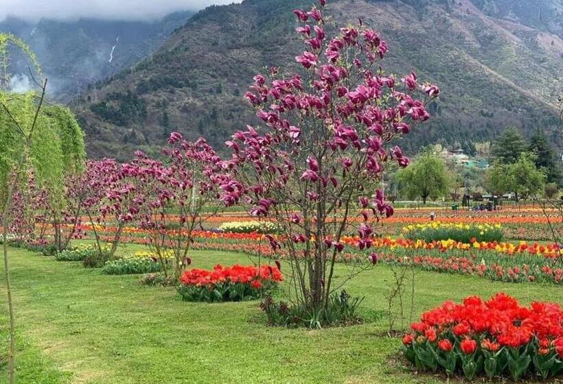 Hotel Zebervan Hill Side Retreat