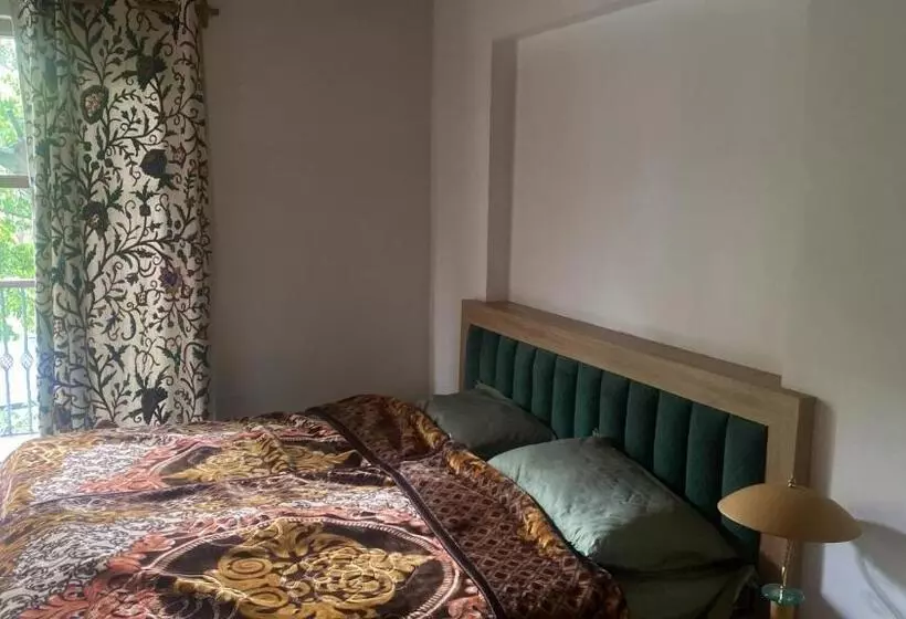 ホテル Zebervan Hill Side Retreat