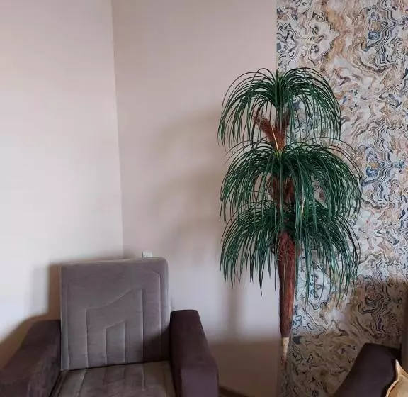 پانسیون Camellia