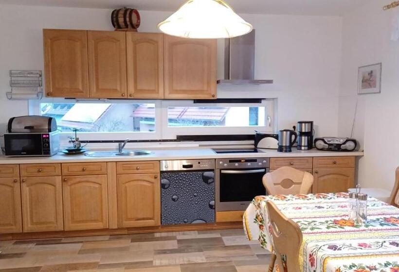 Pensão Ferienwohnung Mioritza