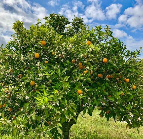 پانسیون Quinta Dos 4 Ventos