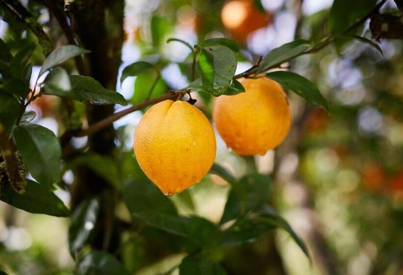 پانسیون Quinta Dos 4 Ventos