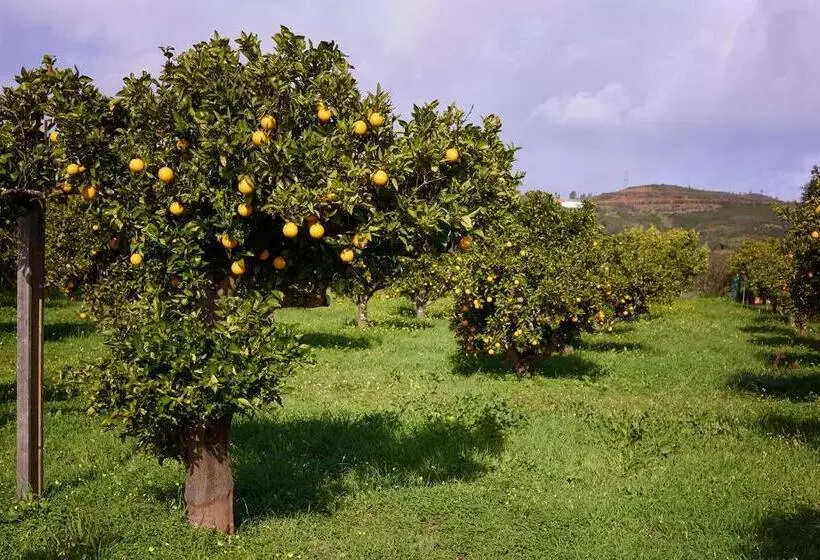 Majatalo Quinta Dos 4 Ventos