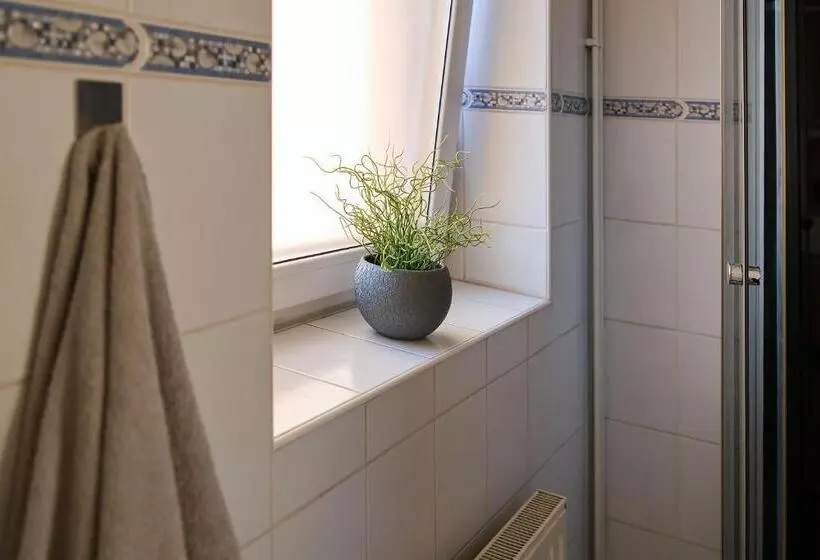 پانسیون Stodolní Apartment