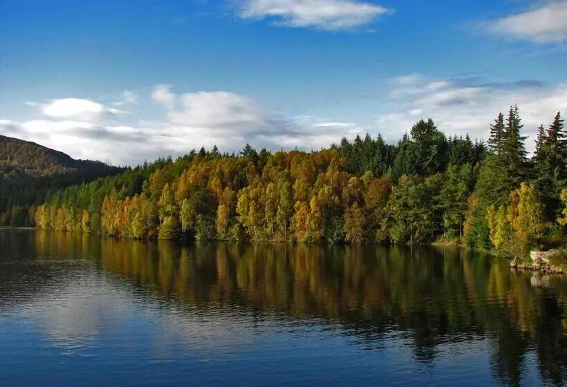 تختخواب و صبحانه Lugonia