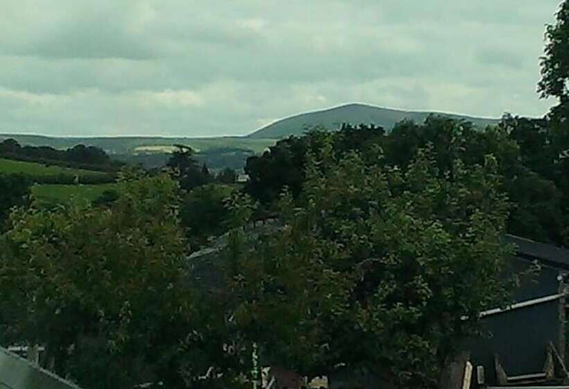 مبيت وإفطار Top House