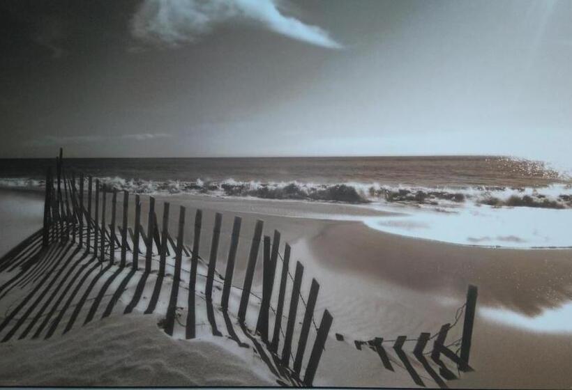 Driftwood B&b Weymouth