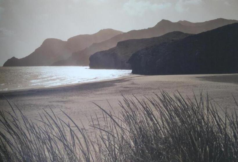 Driftwood B&b Weymouth