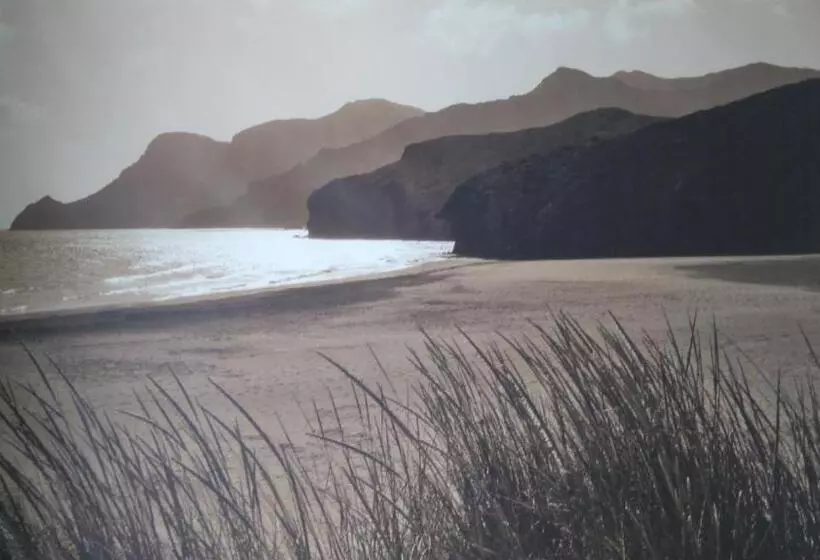 Driftwood B&b Weymouth
