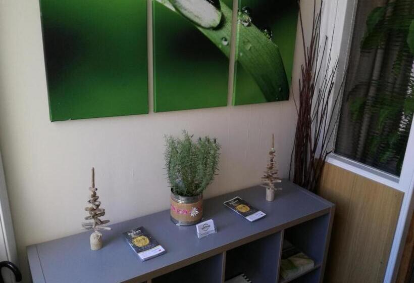 Driftwood B&b Weymouth