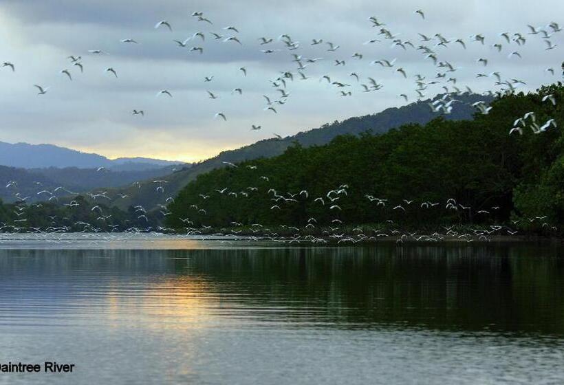 בית מלון כפרי Daintree Riverview Lodges