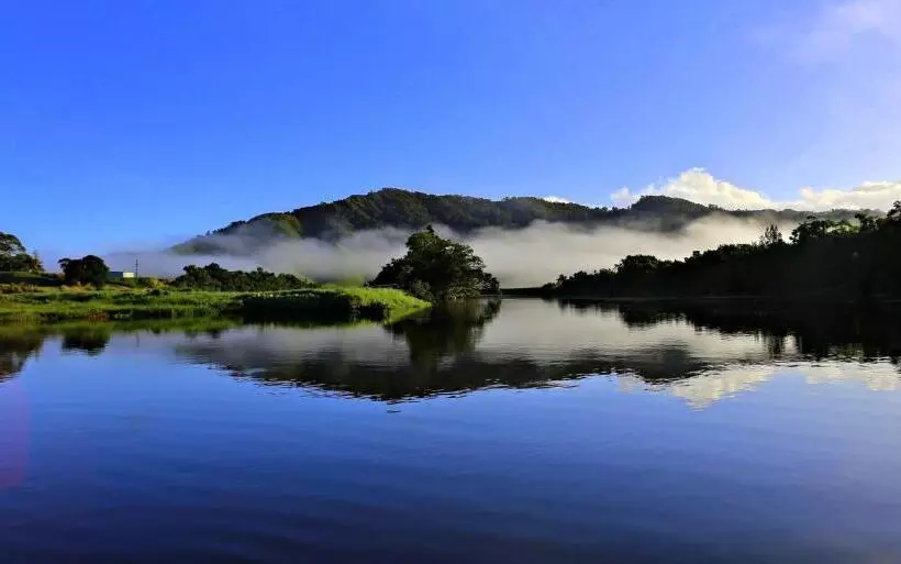 Hotelli Daintree Riverview Lodges