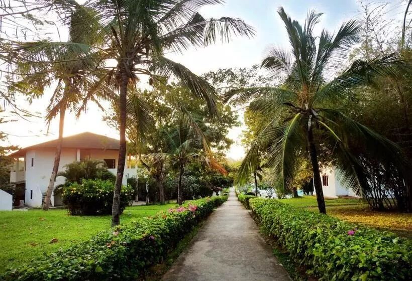 هتل Gecko Resort
