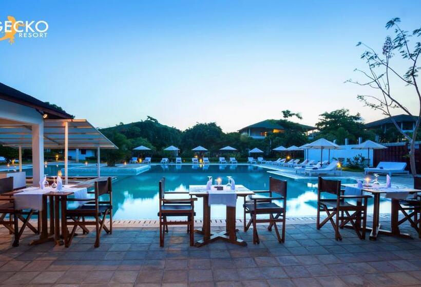 هتل Gecko Resort