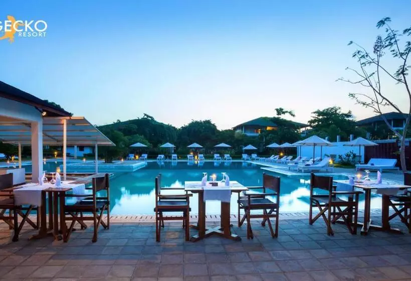 هتل Gecko Resort