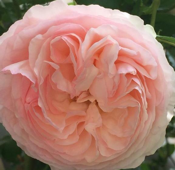 هتل Opera 01 Maison De Charme B&b