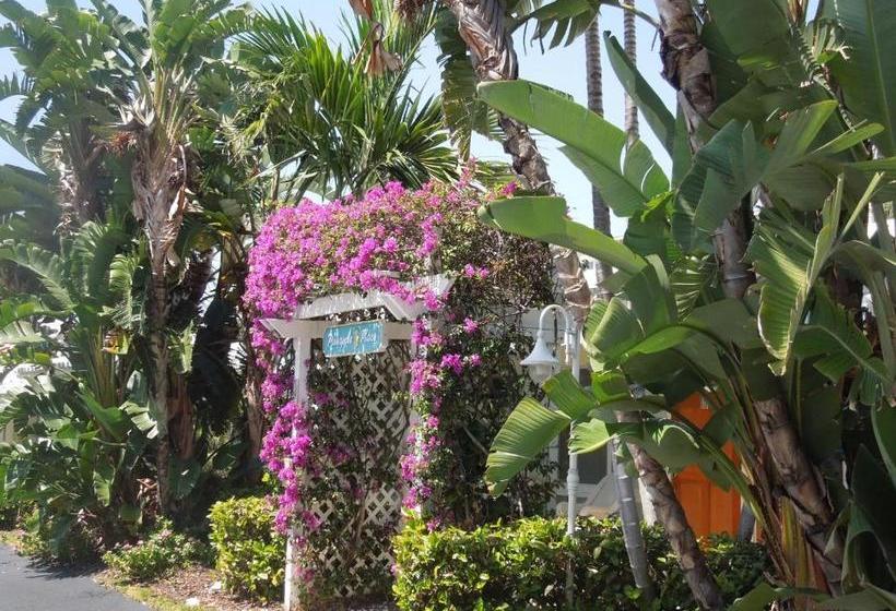 فندق Pineapple Place