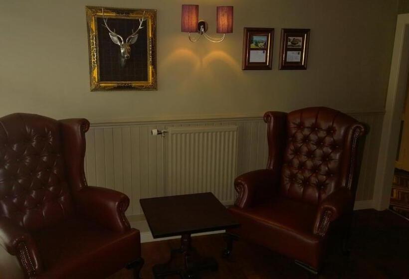 酒店 The Crown Inn