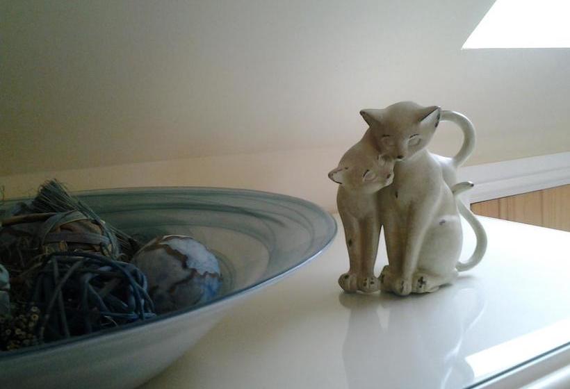 Pen Llyn Bed And Breakfast