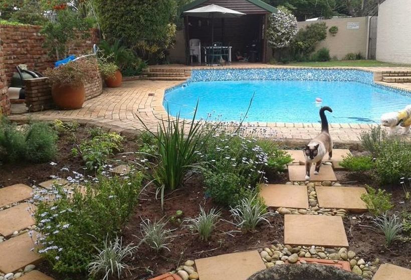 بنسيون Calico Guest House