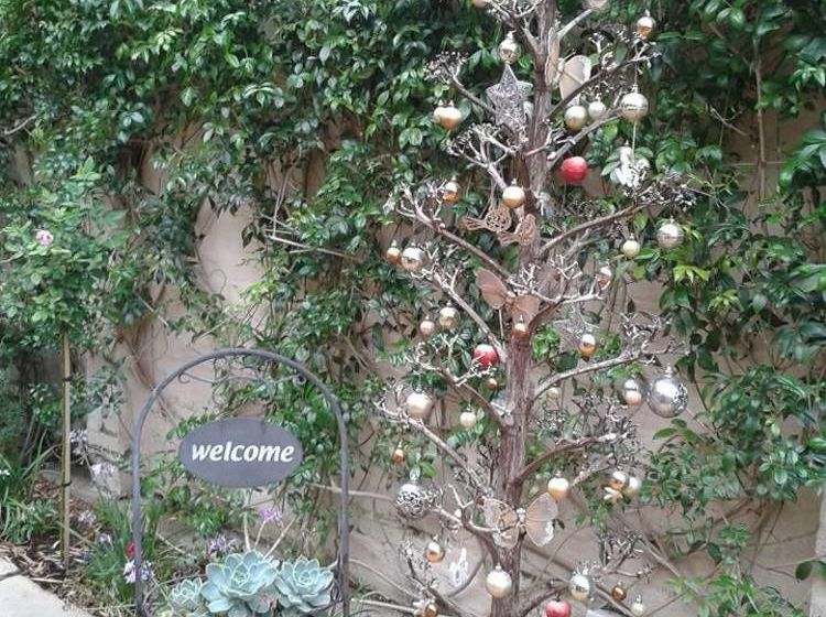 بنسيون Calico Guest House