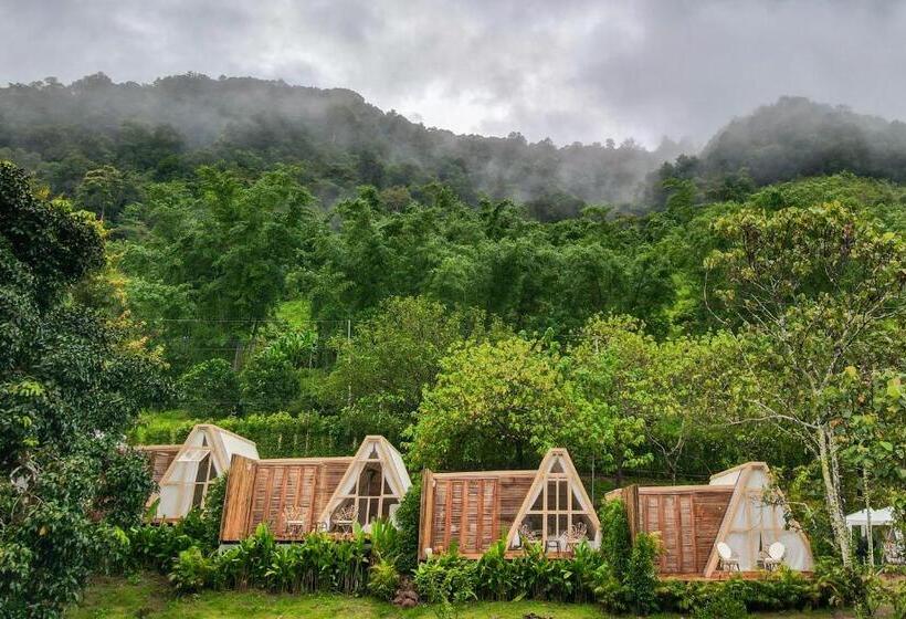 Aamiaismajoitus (B&B) บ้านธารหมอก แอท สะปัน