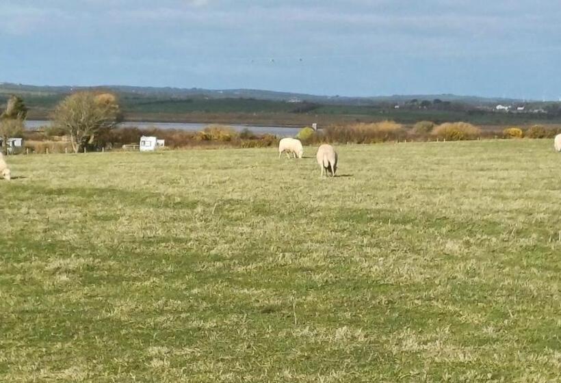 Bed and Breakfast The Beach House