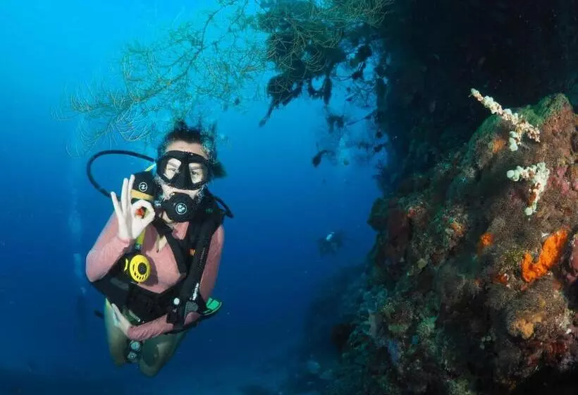 ホテル Liberty S Community Lodge And Diving