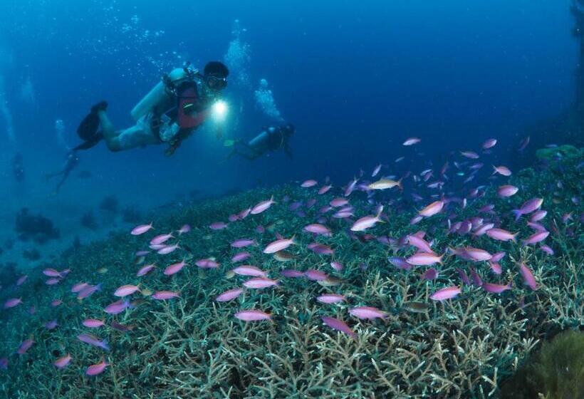 בית מלון כפרי Liberty S Community Lodge And Diving