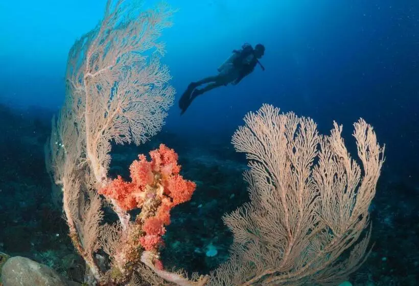 ホテル Liberty S Community Lodge And Diving