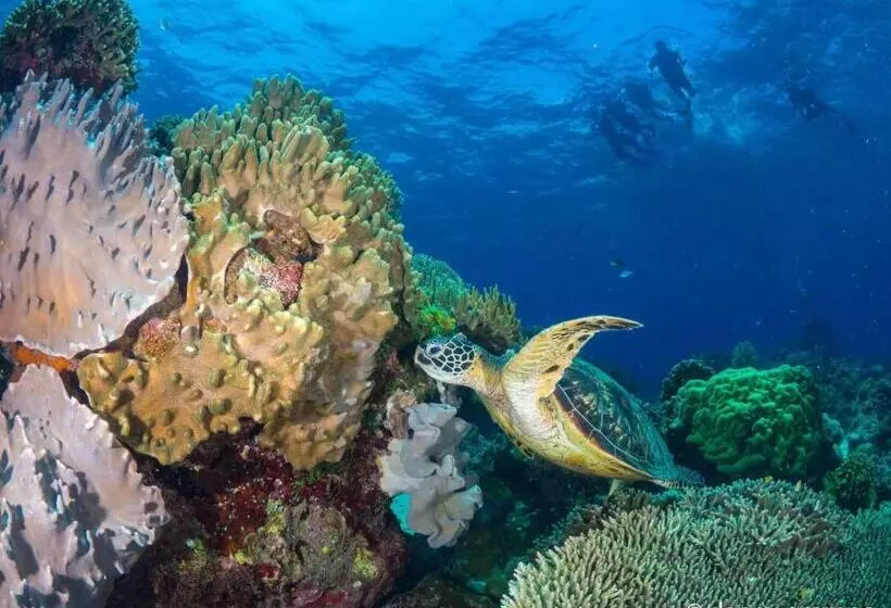 ホテル Liberty S Community Lodge And Diving