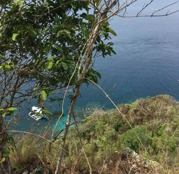 ホテル Liberty S Community Lodge And Diving