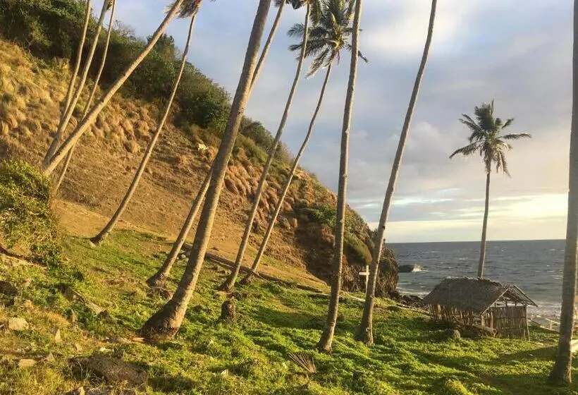 ホテル Liberty S Community Lodge And Diving