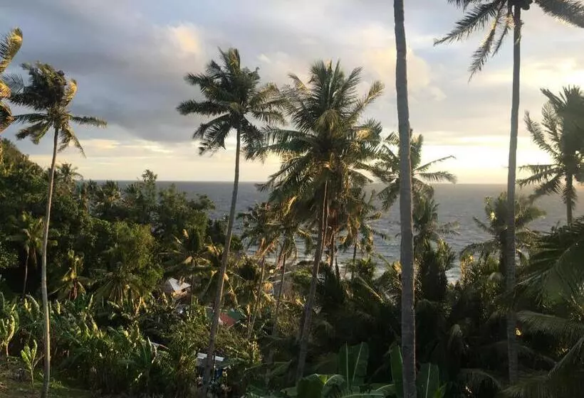 ホテル Liberty S Community Lodge And Diving