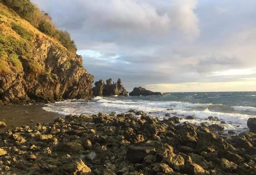 ホテル Liberty S Community Lodge And Diving