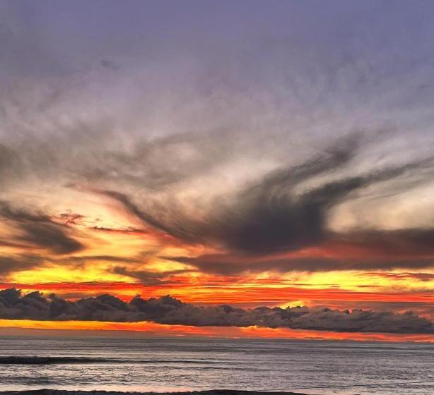 Nocleg ze śniadaniem View With A Room Nz   Boutique Beachfront Accommodation On The Great Coast Road