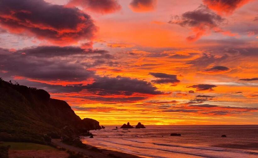 Nocleg ze śniadaniem View With A Room Nz   Boutique Beachfront Accommodation On The Great Coast Road