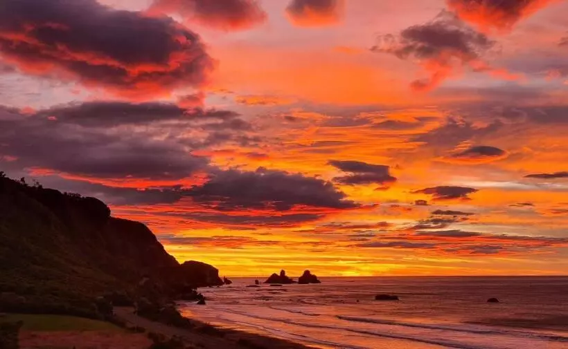 Aamiaismajoitus (B&B) View With A Room Nz   Boutique Beachfront Accommodation On The Great Coast Road