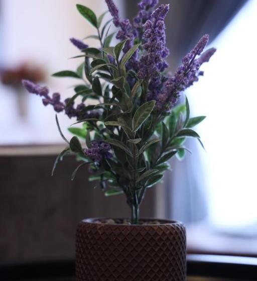 D Elegant Suite   Emerald Avenue