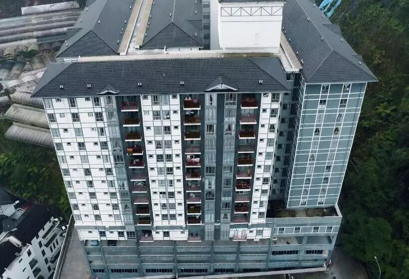 D Elegant Suite   Emerald Avenue