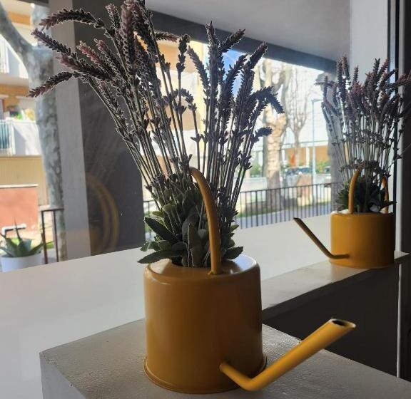 בית מלון כפרי Crisvan