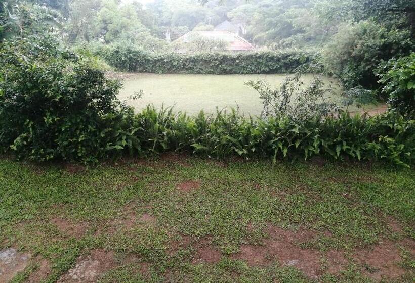 بنسيون Atlas Guesthouse