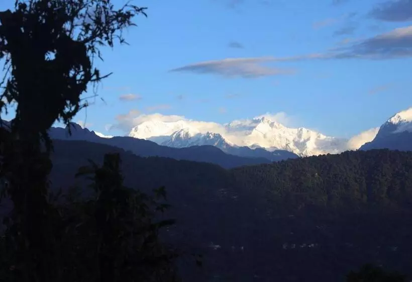 Lomakeskus Red Panda Jungle Camp   A Unit Of Davinchi Homes Pvt Ltd